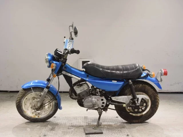 Suzuki RV125