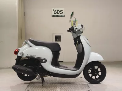 Honda GIORNO -3
