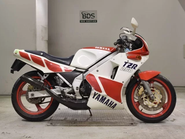 Yamaha TZR250-1