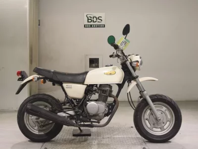Honda APE100