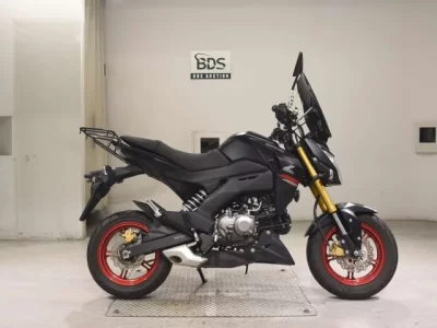 Kawasaki Z125PRO