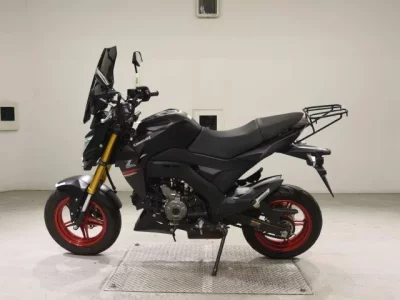 Kawasaki Z125PRO