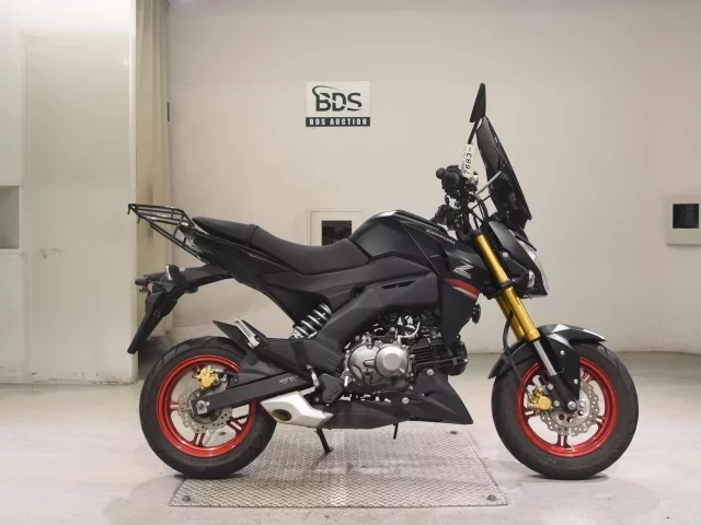 Kawasaki Z125PRO
