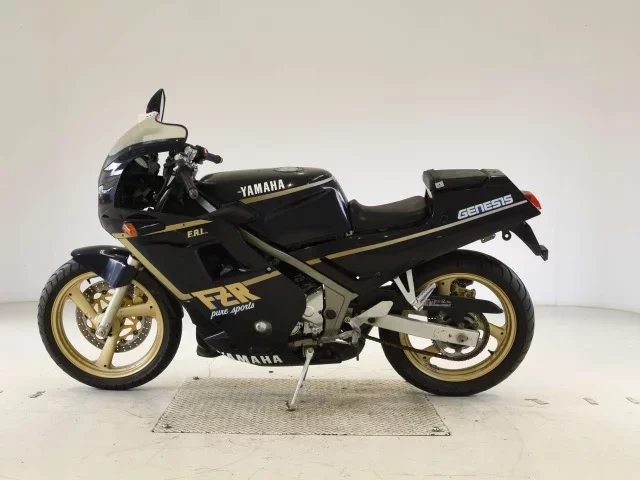 Yamaha FZR250