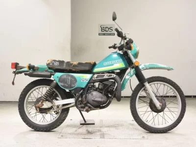 Suzuki TS250