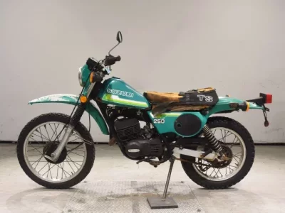 Suzuki TS250