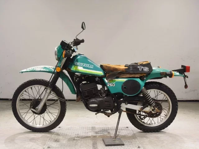 Suzuki TS250