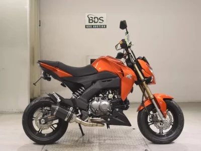 Kawasaki Z125PRO