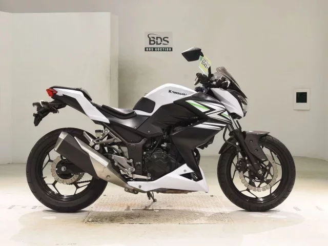 Kawasaki Z250