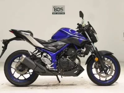 Yamaha MT-25