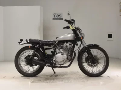 Suzuki GLASS TRACKER BIG BOY