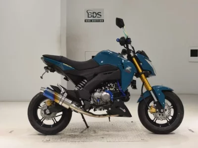 Kawasaki Z125PRO