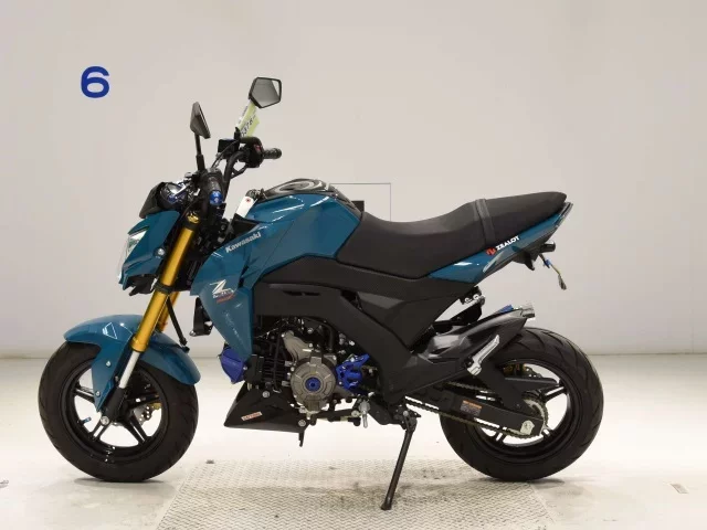 Kawasaki Z125PRO