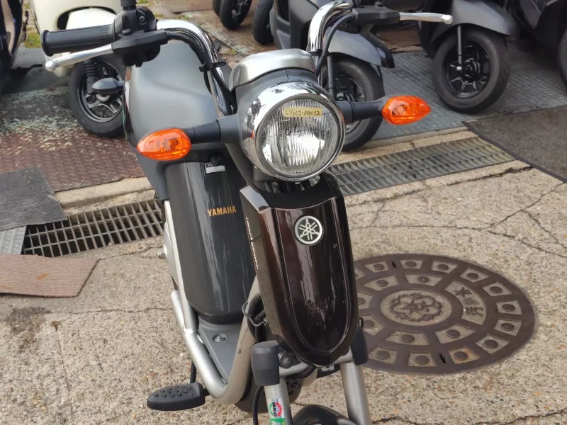 Yamaha EC-03