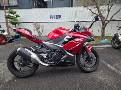 Kawasaki Ninja 250