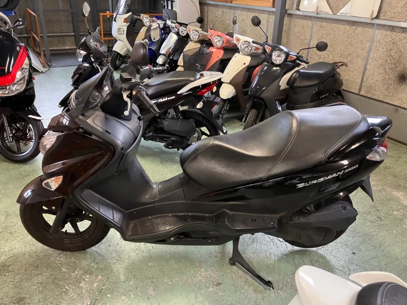 Suzuki BURGMAN200