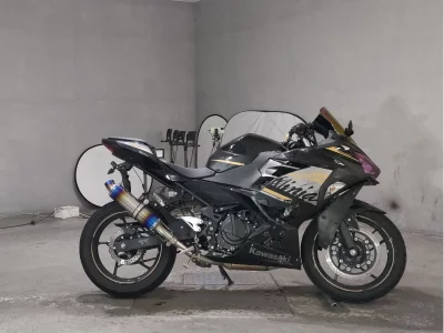 Kawasaki NINJA250