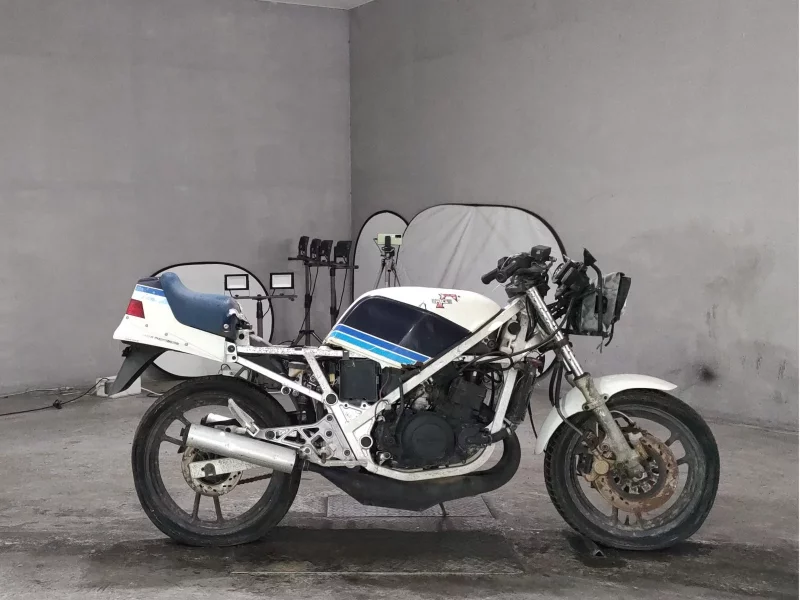 Suzuki RG250