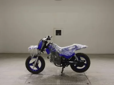 Yamaha PW50