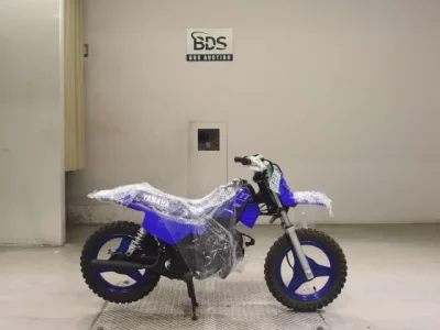 Yamaha PW50