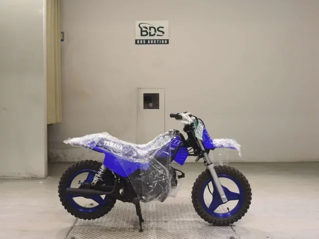 Yamaha PW50