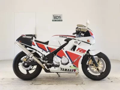 Yamaha FZR250