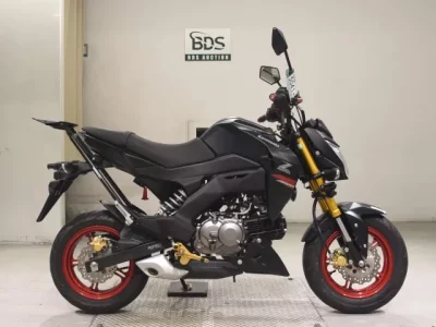 Kawasaki Z125PRO