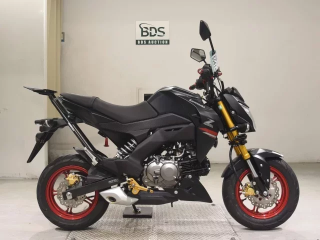 Kawasaki Z125PRO