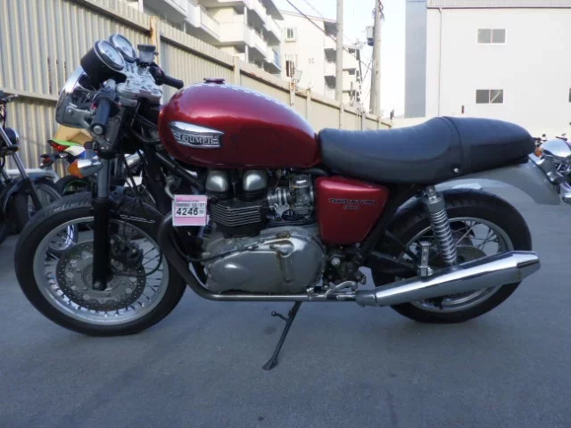 Triumph TRIUMPH SUKU LAST N900