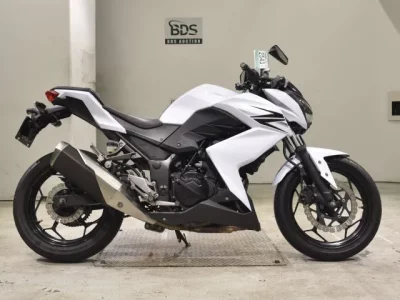 Kawasaki Z250