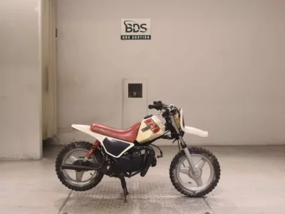 Yamaha PW50