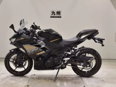 Kawasaki NINJA250-2