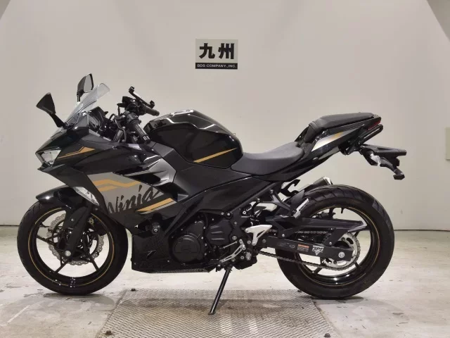 Kawasaki NINJA250-2