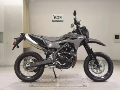 Kawasaki KLX230SM