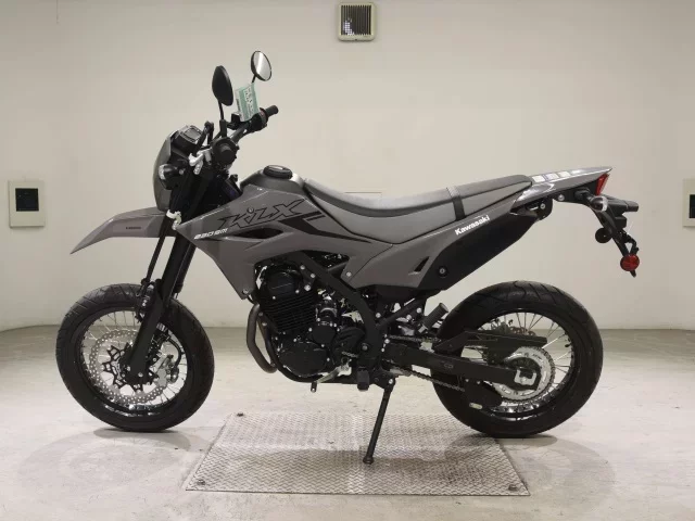 Kawasaki KLX230SM