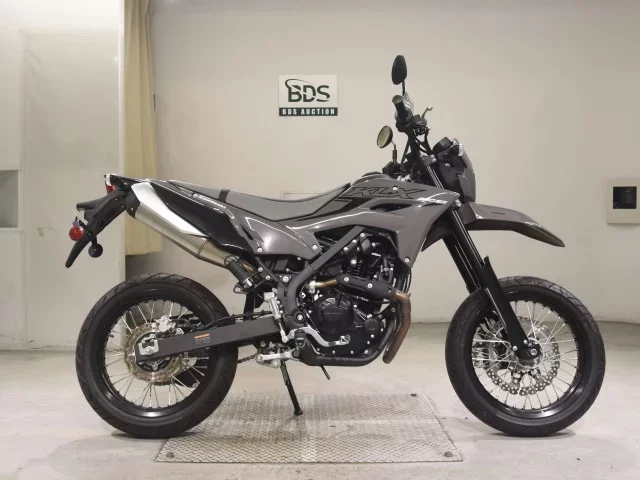 Kawasaki KLX230SM