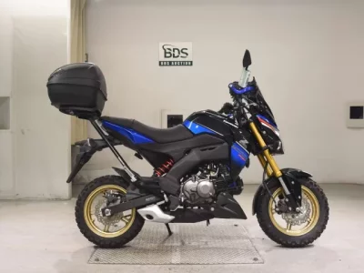 Kawasaki Z125PRO