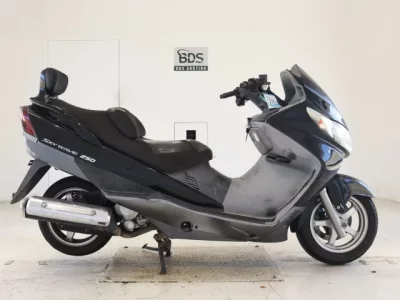 Suzuki SKYWAVE 250-2