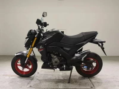 Kawasaki Z125PRO