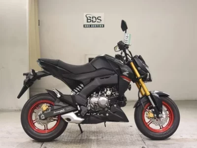 Kawasaki Z125PRO