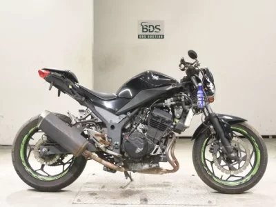 Kawasaki NINJA250