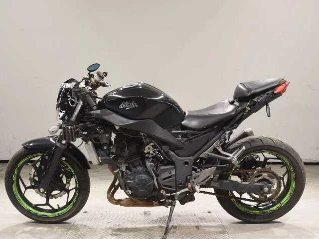 Kawasaki NINJA250