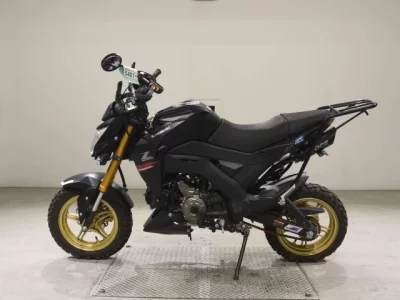 Kawasaki Z125PRO