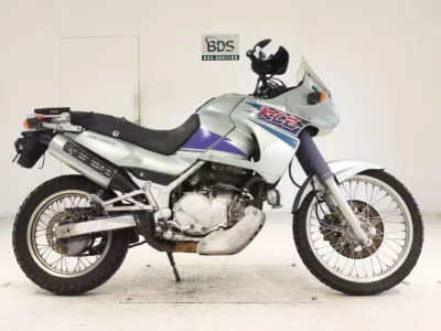 Kawasaki KLE400