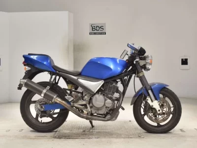 Suzuki GOOSE250
