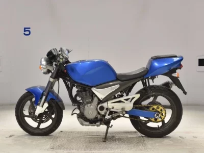 Suzuki GOOSE250
