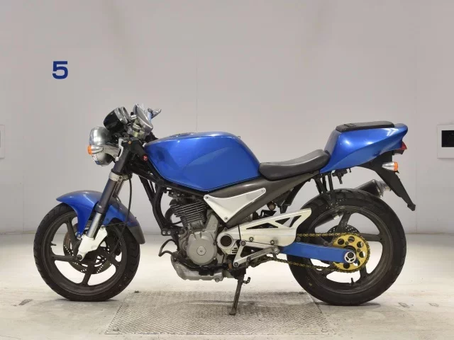 Suzuki GOOSE250
