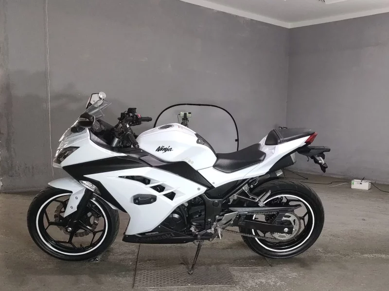 Kawasaki NINJA250