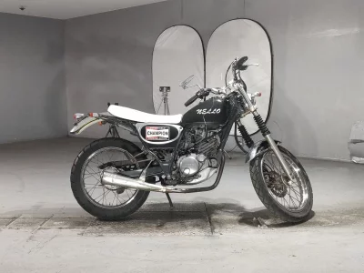 Yamaha BRONCO