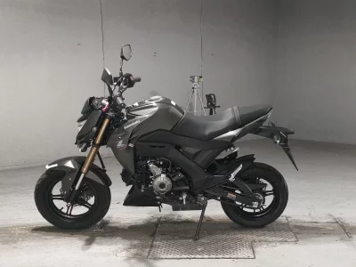 Kawasaki Z125 PRO